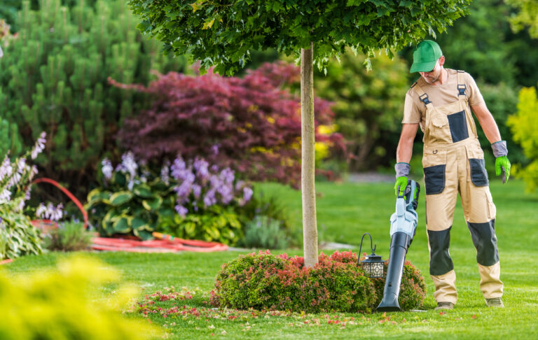 Everything Agencies Must Know About the Electrification of Parks and Recreation
