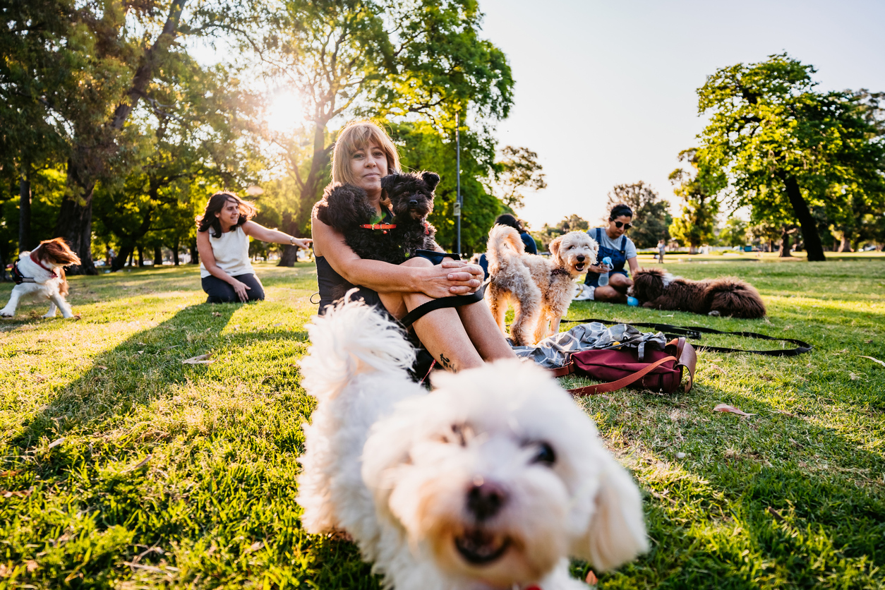 pet-friendly parks