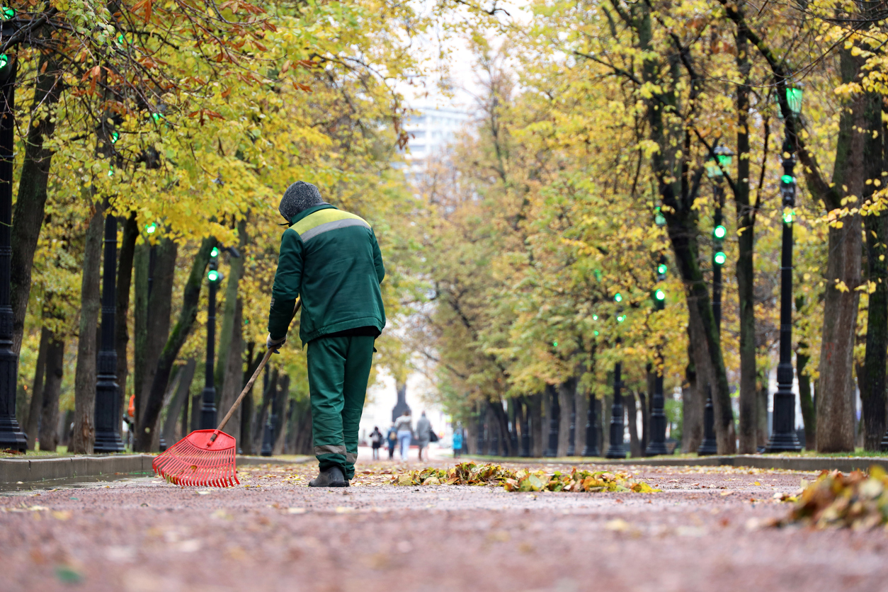 Janitor sweeping the fallen leaves on autumn street