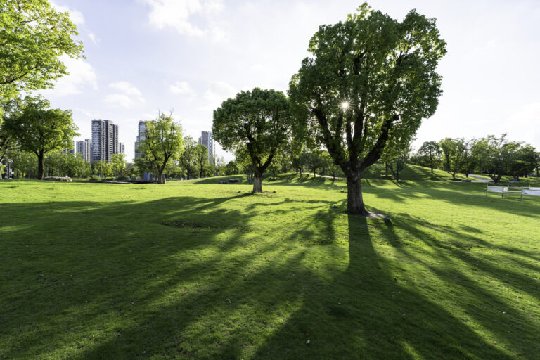 How Smart Asset Management Keeps Parks Beautiful Year-Round