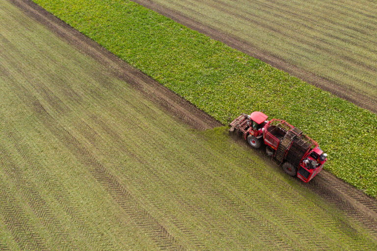 Case Study: Transystems