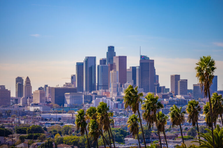 Case Study: Los Angeles County Internal Services Department