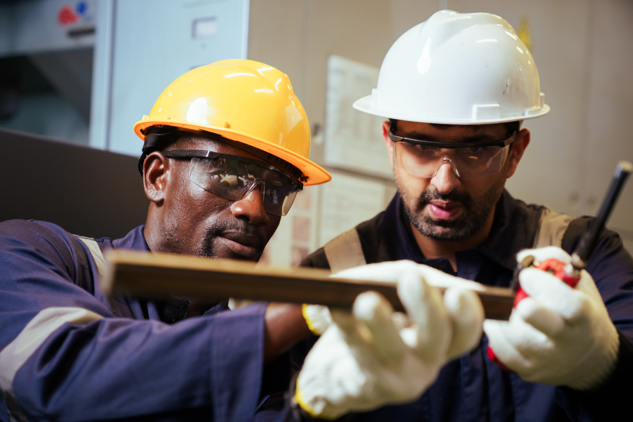 Two workers doing maintenance