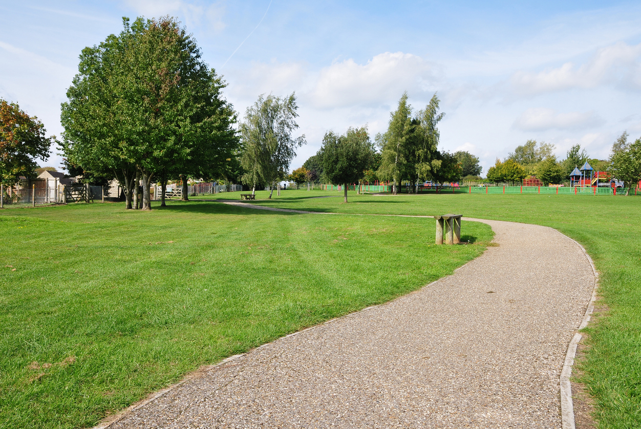 Stone Path Winding through a Green Park