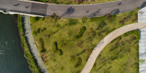 Aerial view of road in the park