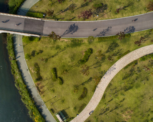 Aerial view of road in the park