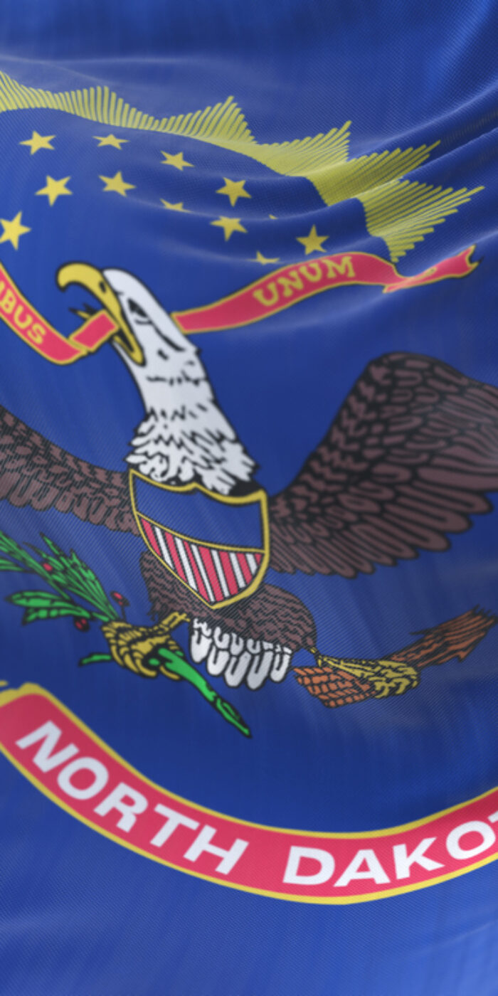 Flag of american state of North Dakota, region of the United States, waving at wind