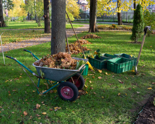 Cart, rake, containers with seedlings.Autumn leaf cleaning in the Park