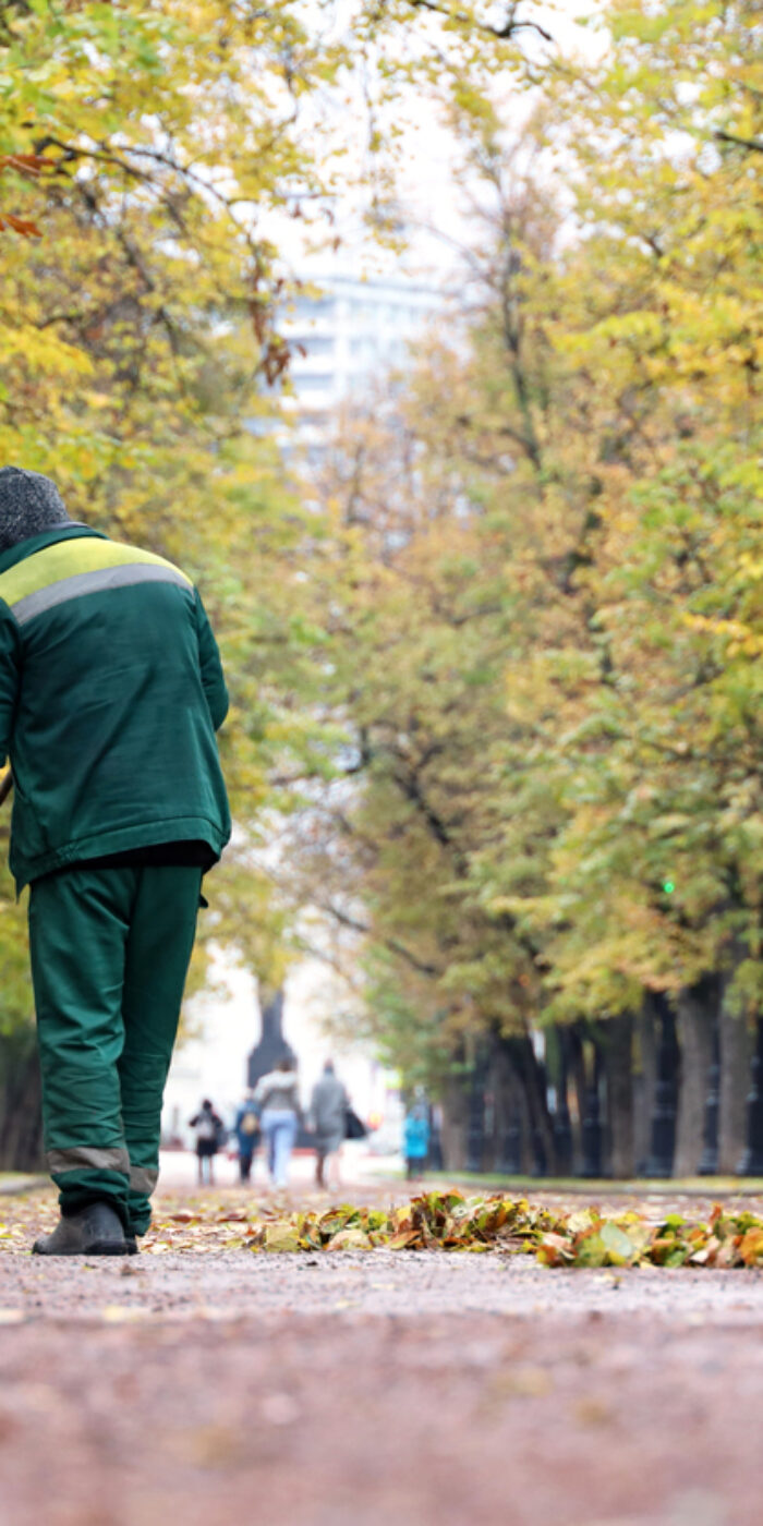 Janitor sweeping the fallen leaves on autumn street