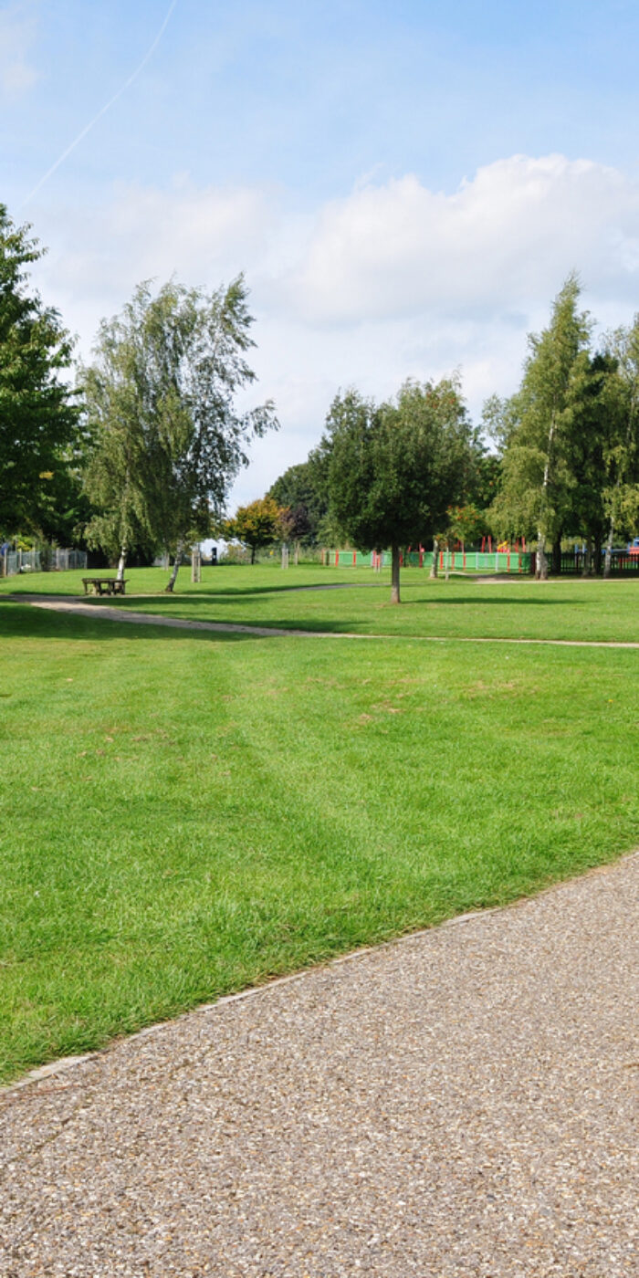 Stone Path Winding through a Green Park