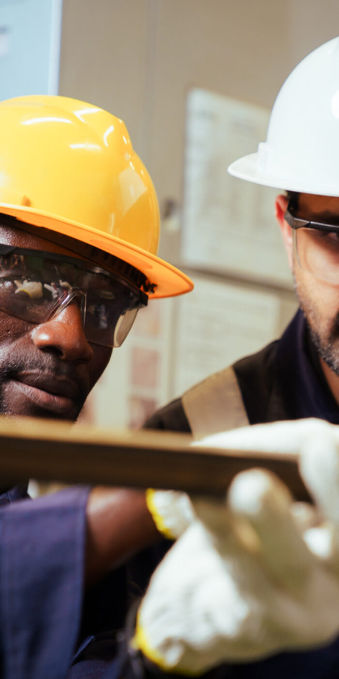 Two workers doing maintenance