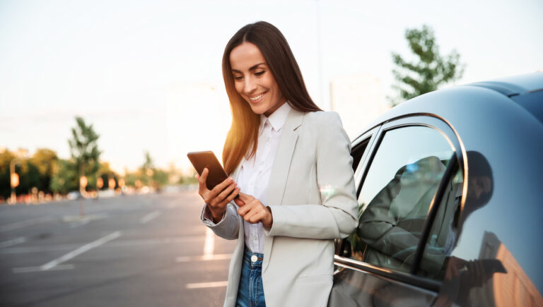 fleet management software