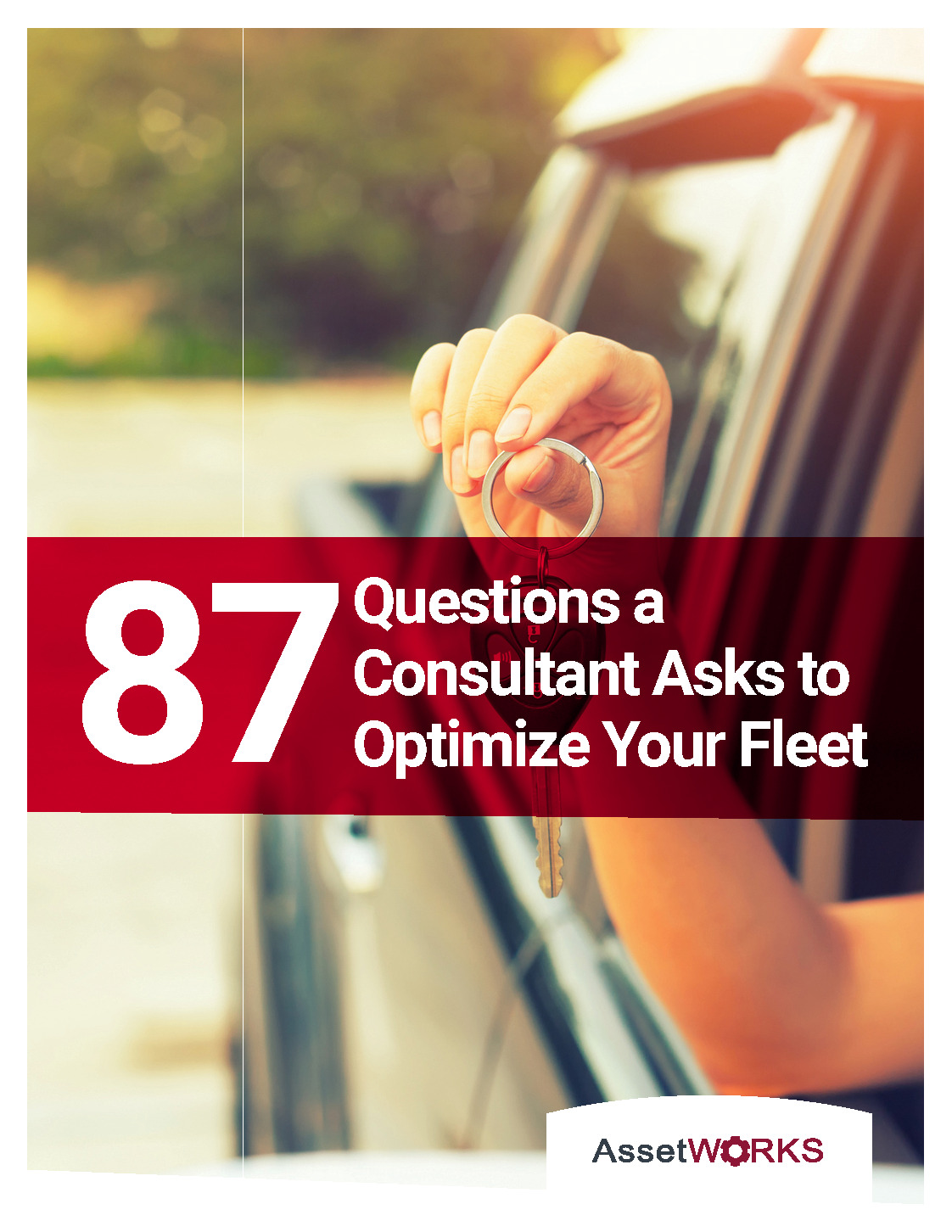 87-Questions-a-Consultant-002_Page_1