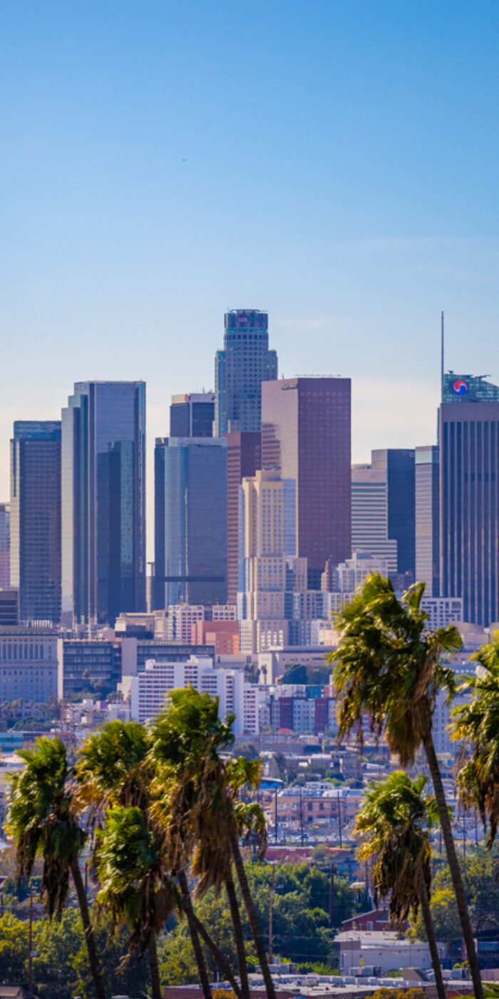 A view of downtown Los Angeles California with palm trees in the foreground