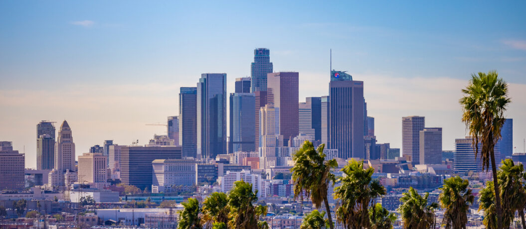 A view of downtown Los Angeles California with palm trees in the foreground