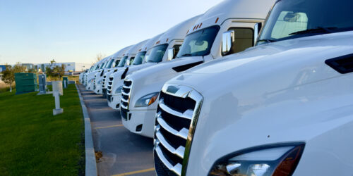 parking of several white trucks in a parking lot