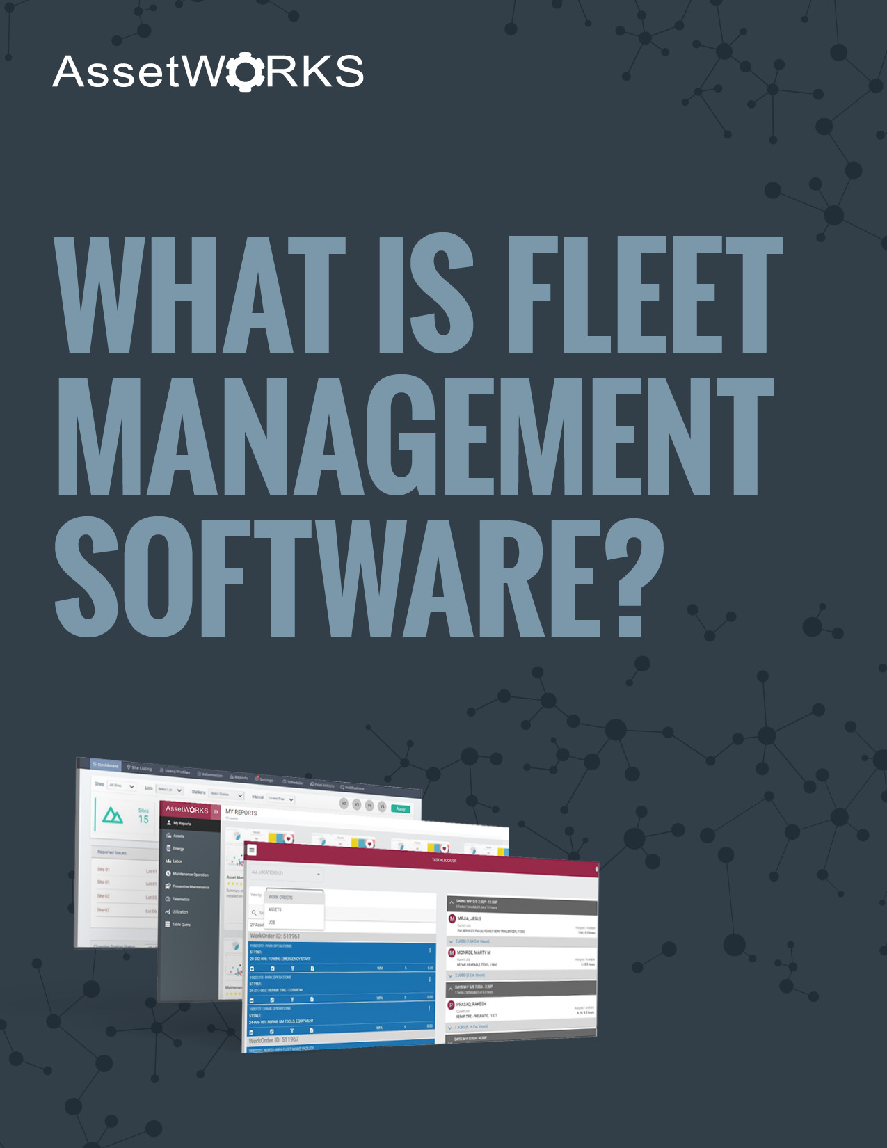 What is Fleet Management Software White Paper 2