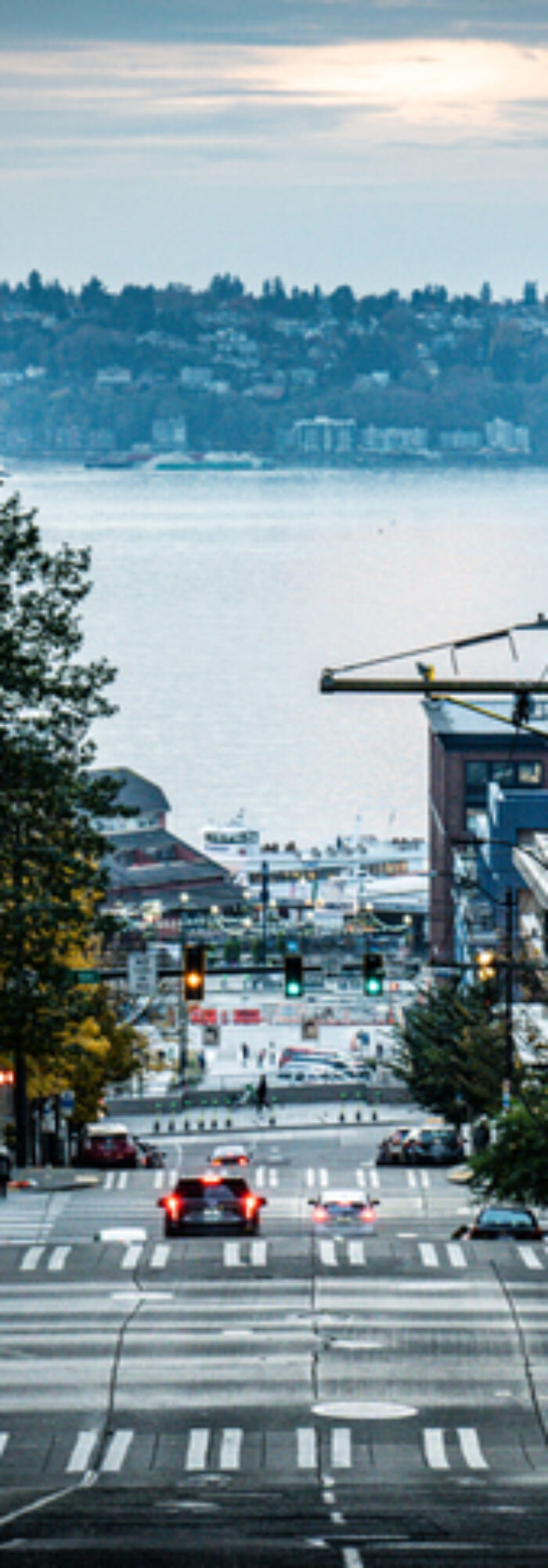 King County Metro fleet